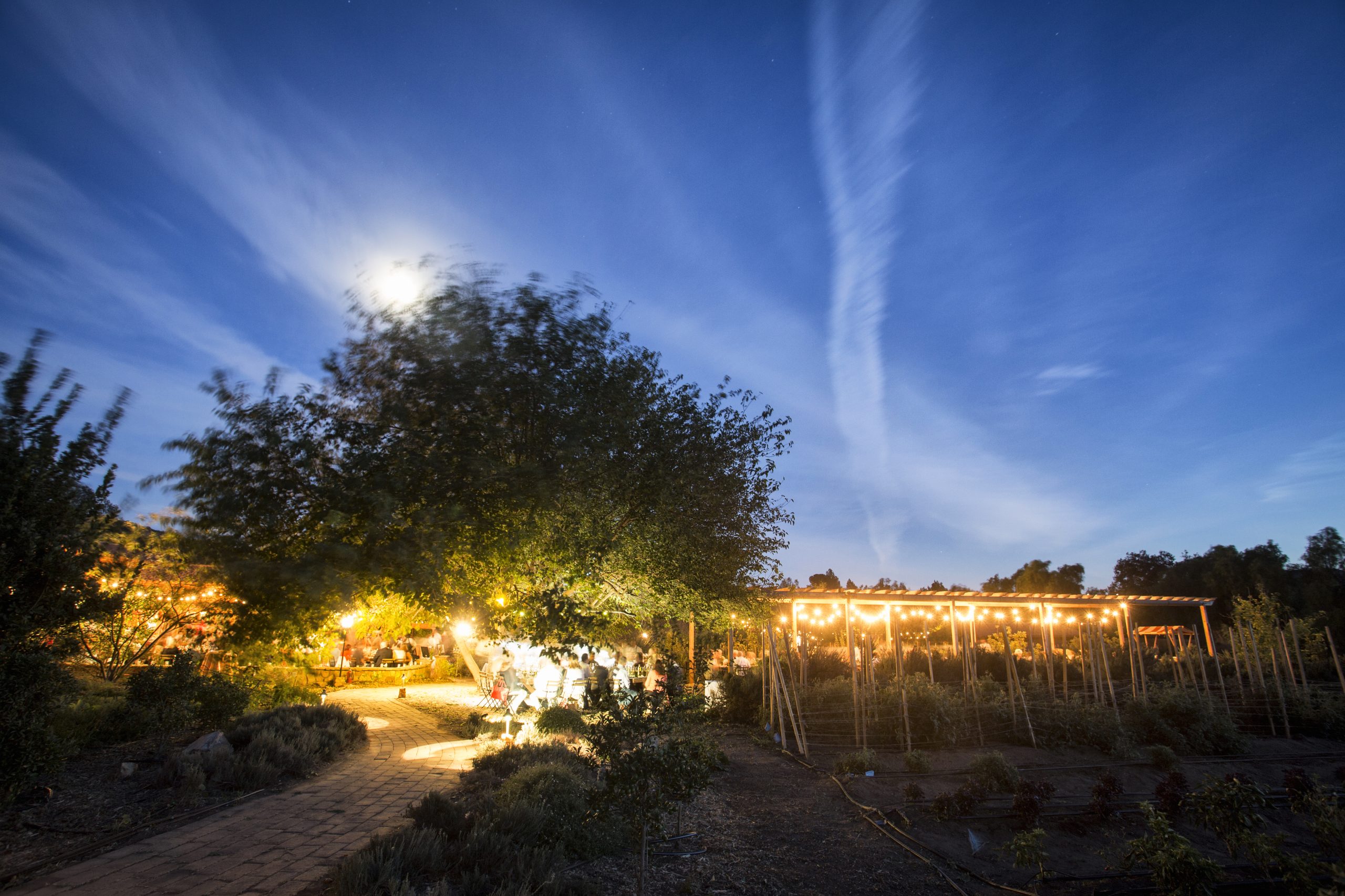 Baja Culinary Week 2026