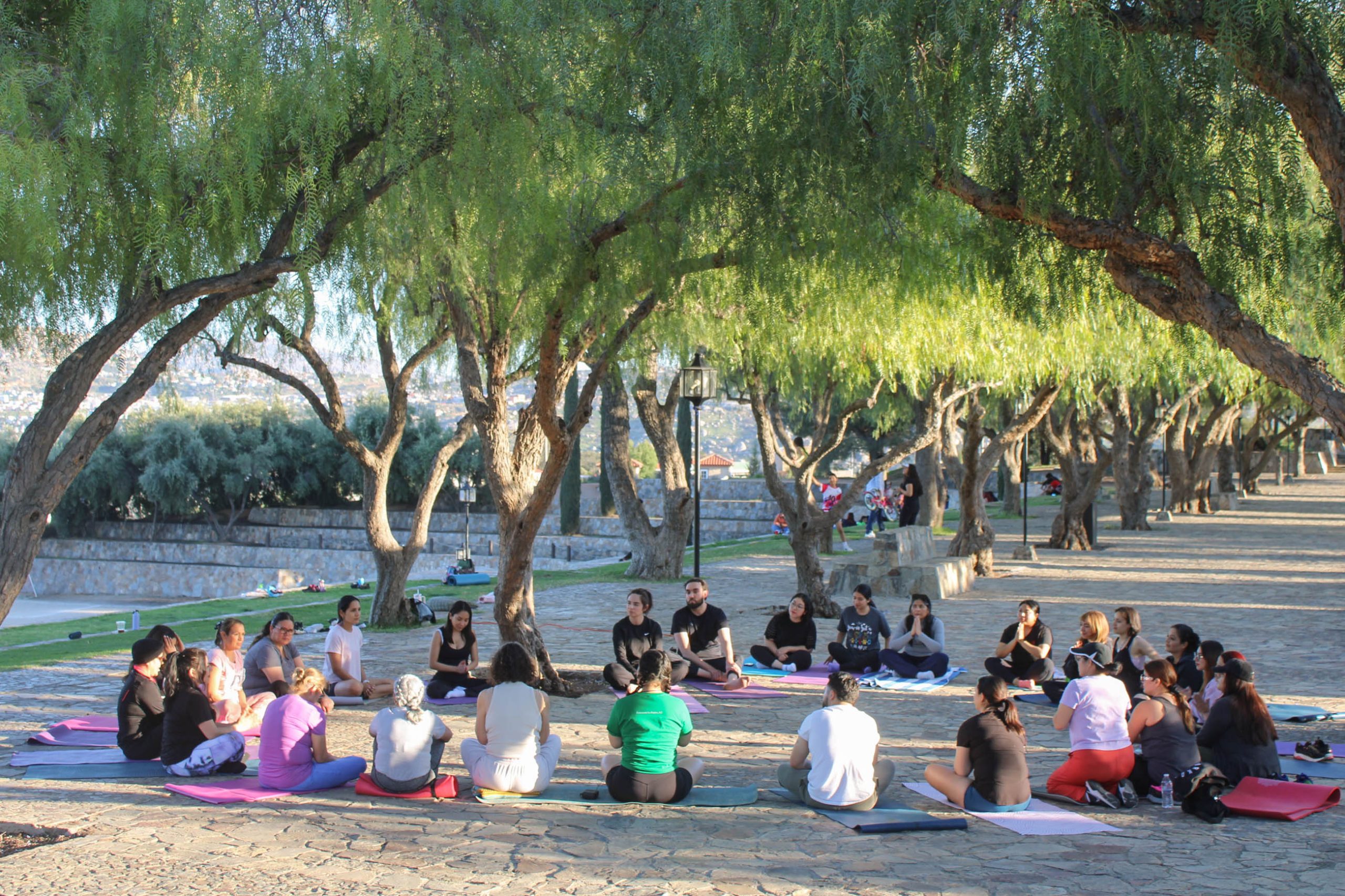 Primavera en el Parque del Profesor: A Season of Connection and Care