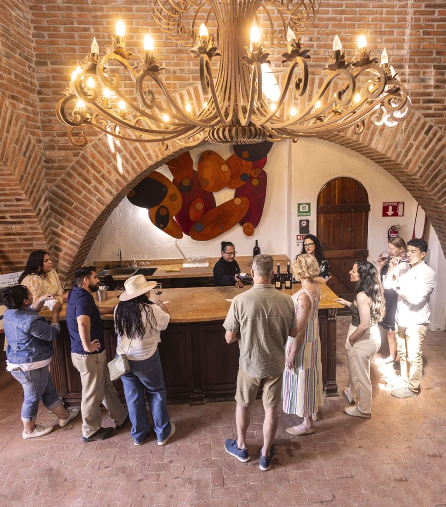 Valle de Guadalupe Wine Tour