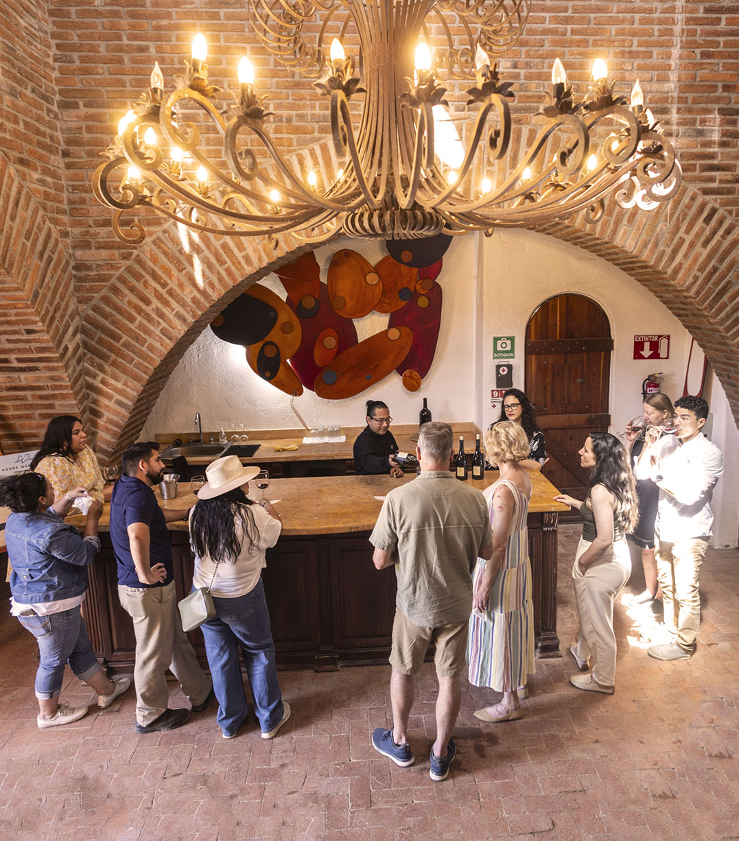 Valle de Guadalupe Wine Tour