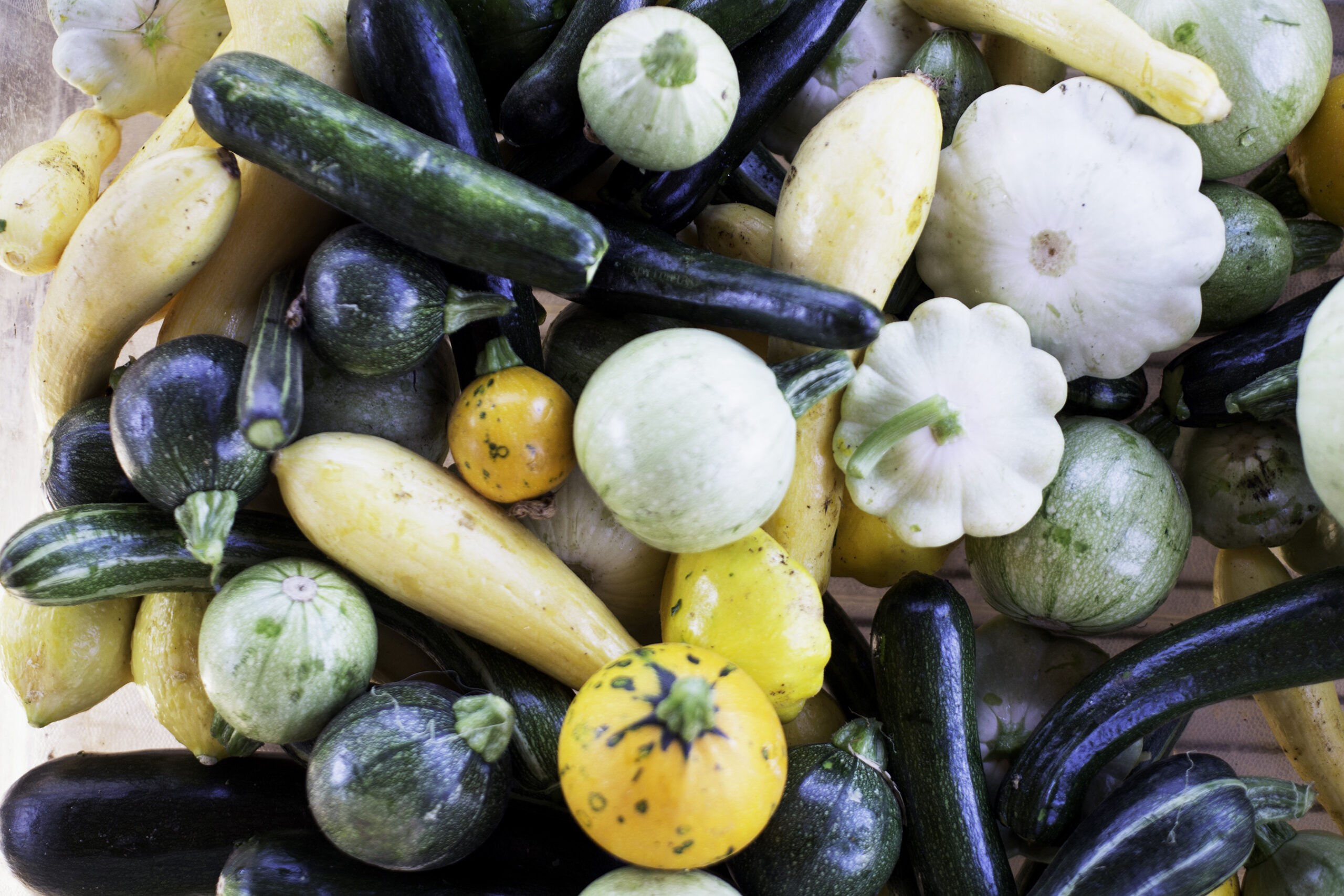 Zucchini: Delicious and Nutritious!